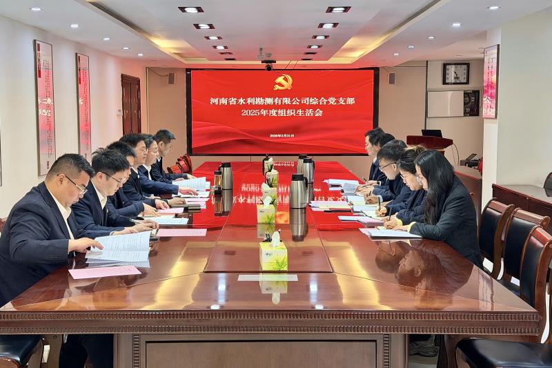 公司綜合黨支部召開2025年度組織生活會